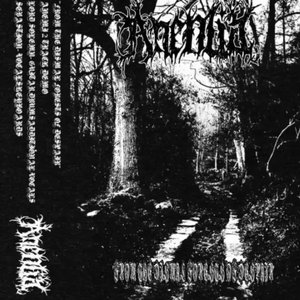 From The Dismal Forest Of Despair (DEMO)