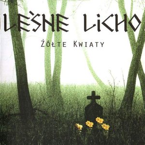 Żółte Kwiaty