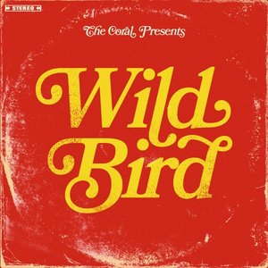 Wild Bird - Single