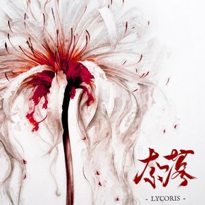 Lycoris