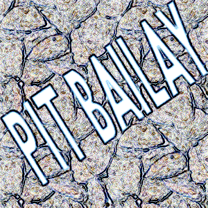 Pit Bailay 的头像
