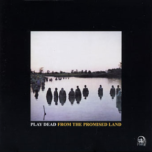 From the Promised Land cover