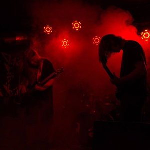 Avatar for Megalomorfus