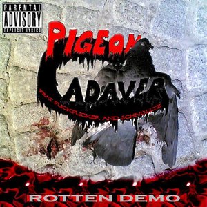 Pigeon Cadaver のアバター