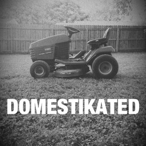 Аватар для Domestikated