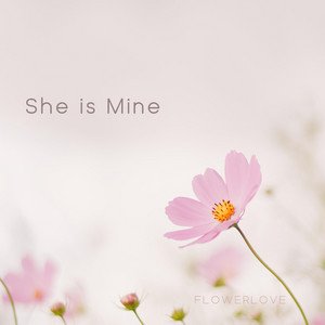 A Story Untold