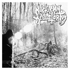 Nokturnal Hellstorm