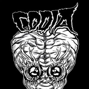 Avatar for Codia