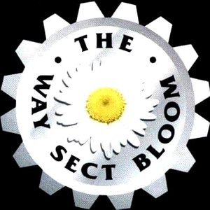 Аватар для The Way Sect Bloom