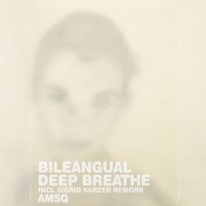 Bileangual 的头像