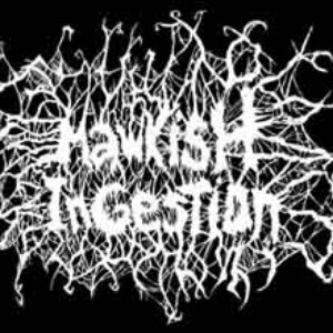 Mawkish Ingestion 的头像