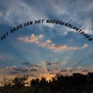 Het Gras Van Het Noorderplantsoen - Single