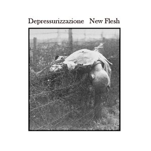 Avatar for Depressurizzazione
