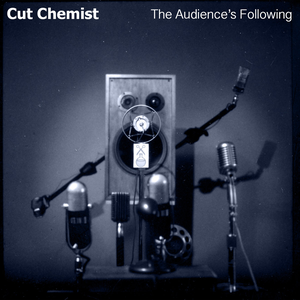 The Audience's Following cover