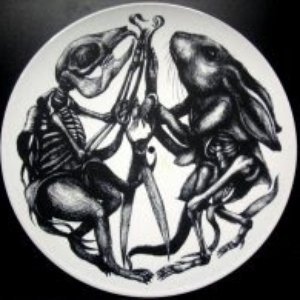 Da Qualche Parte Tra La Vita E La Morte