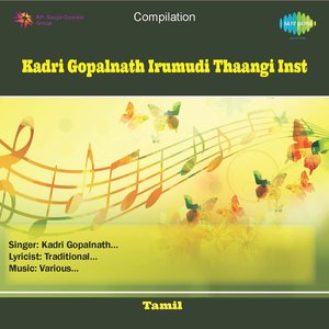 Irumudi Thaangi (Instrumental)