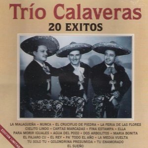 20 Éxitos