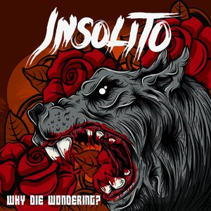 Why Die Wondering?