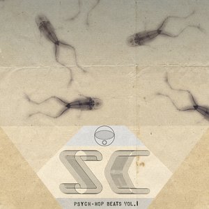 PSYCH-HOP BEATS VOL.1