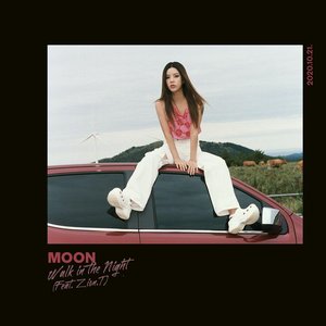 Walk in the Night (feat. Zion.T) - Single