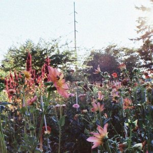 Ur Friends - Single