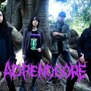 Adrenogore 的头像