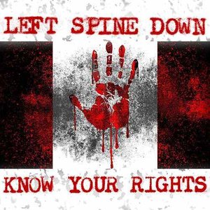 Know Your Rights - Single