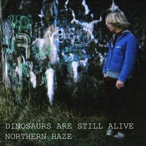 Northern Haze