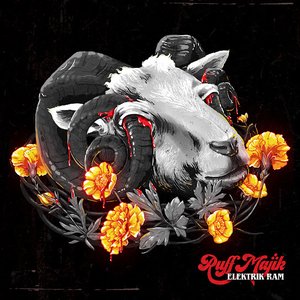 Elektrik Ram - Single