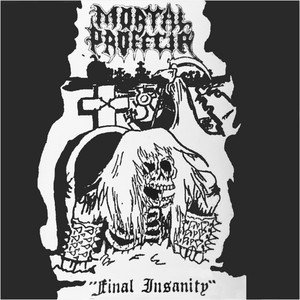 Final Insanity (Remaster 1991)