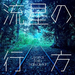 流星の行方