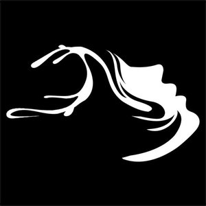 Avatar for Maan*