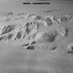 Hibernation