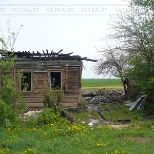 Деревня Неглюбка Ветковского района Гомельской области 的头像