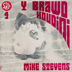 Y Brawd Hwdini