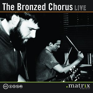 Image for 'The Bronzed Chorus Live at the dotmatrix project'