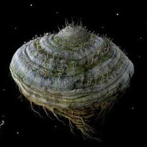 “Samorost 2”的封面