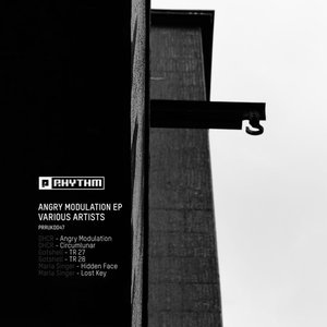 Angry Modulations EP