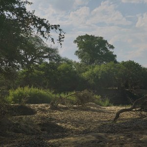 Dawn To Morning In A Dry River Bed