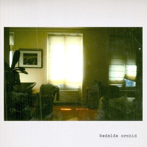 Bedside Orchid 的头像