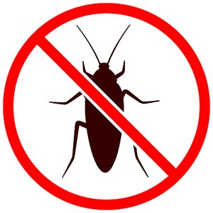 Avatar for PlvyBoyHook