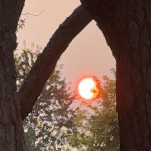 All that went wrong (demo)