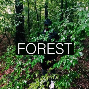 Forest (feat. Stevie Dutch & Paysh)