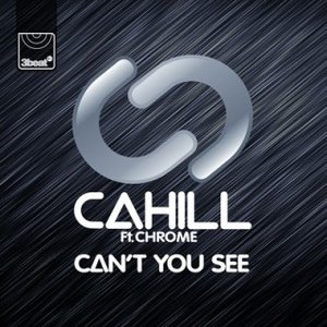 Can't You See