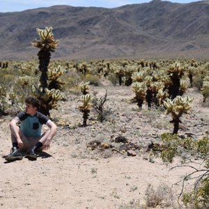 Desert Roach 的头像