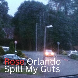 Spill My Guts