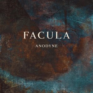 Anodyne