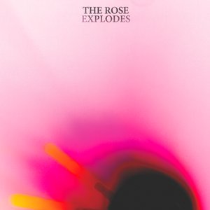 The Rose Explodes