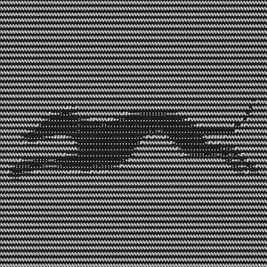 Greyhound