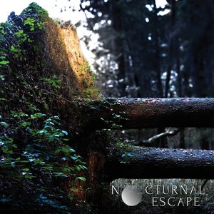 Nocturnal Escape